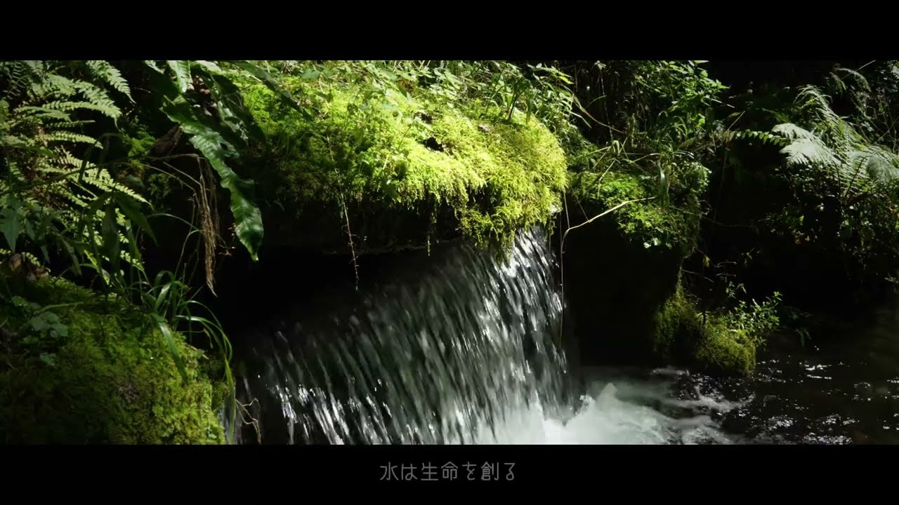 北海道 東川より