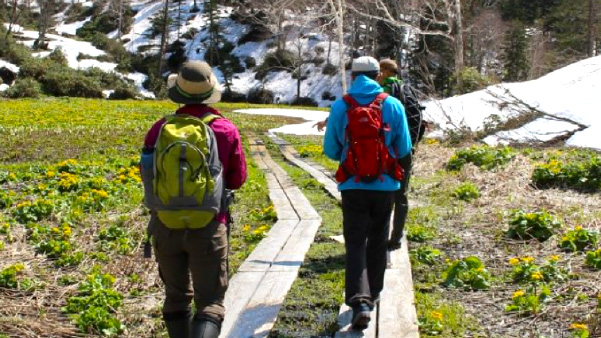 ひがしかわ観光協会