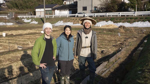 藝術農民について